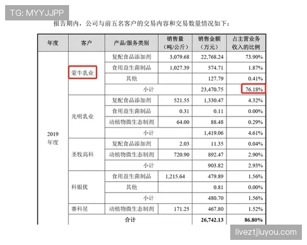 黄牌规则详解：判罚依据与关键条件解析